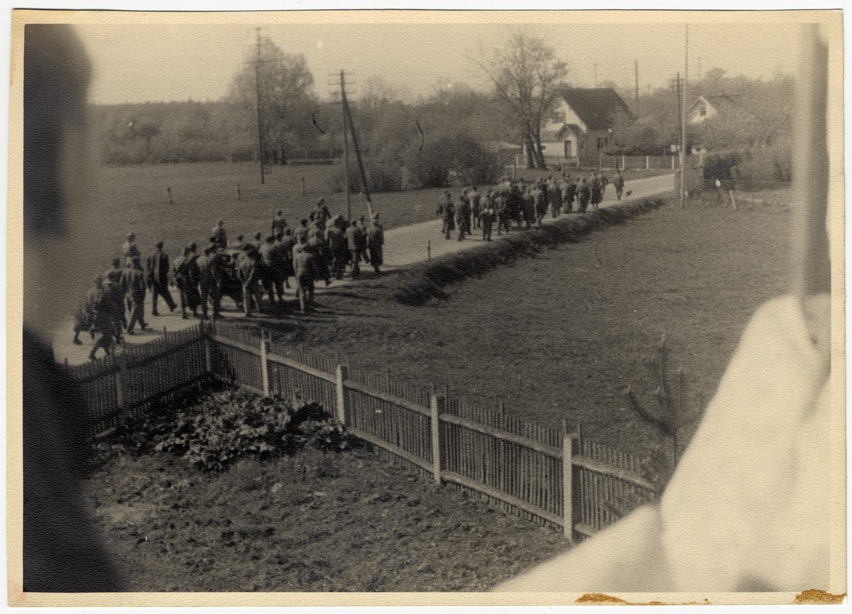 Maria Seidenberger secretly took these photos of a death march toward Dachau concentration camp. In addition to documenting the march, Maria offered potatoes to the starving prisoners. A few days after she took these photos, Dachau was liberated by American forces #OTD in 1945.