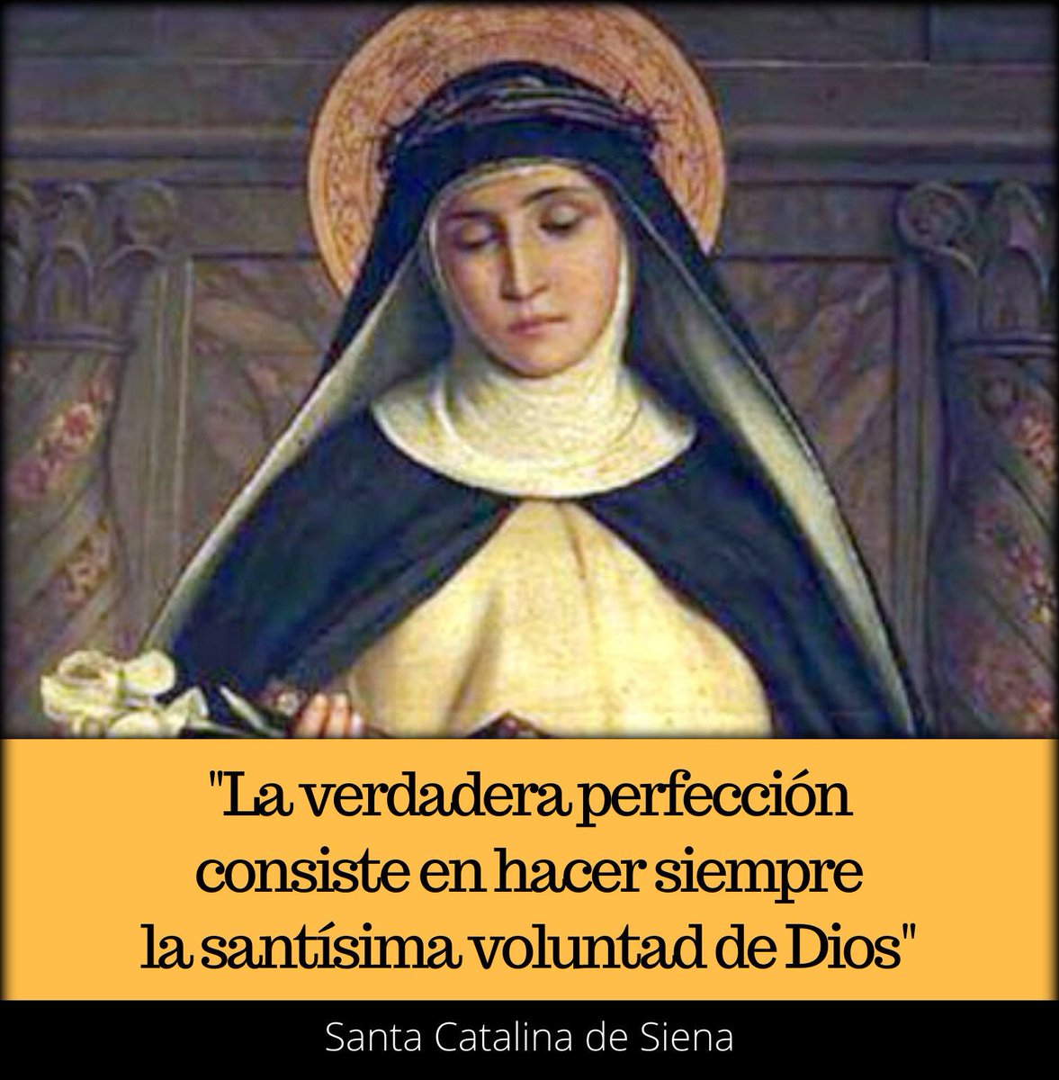 'La verdadera perfección consiste en hacer siempre la santísima voluntad de Dios'. Santa Catalina de Siena