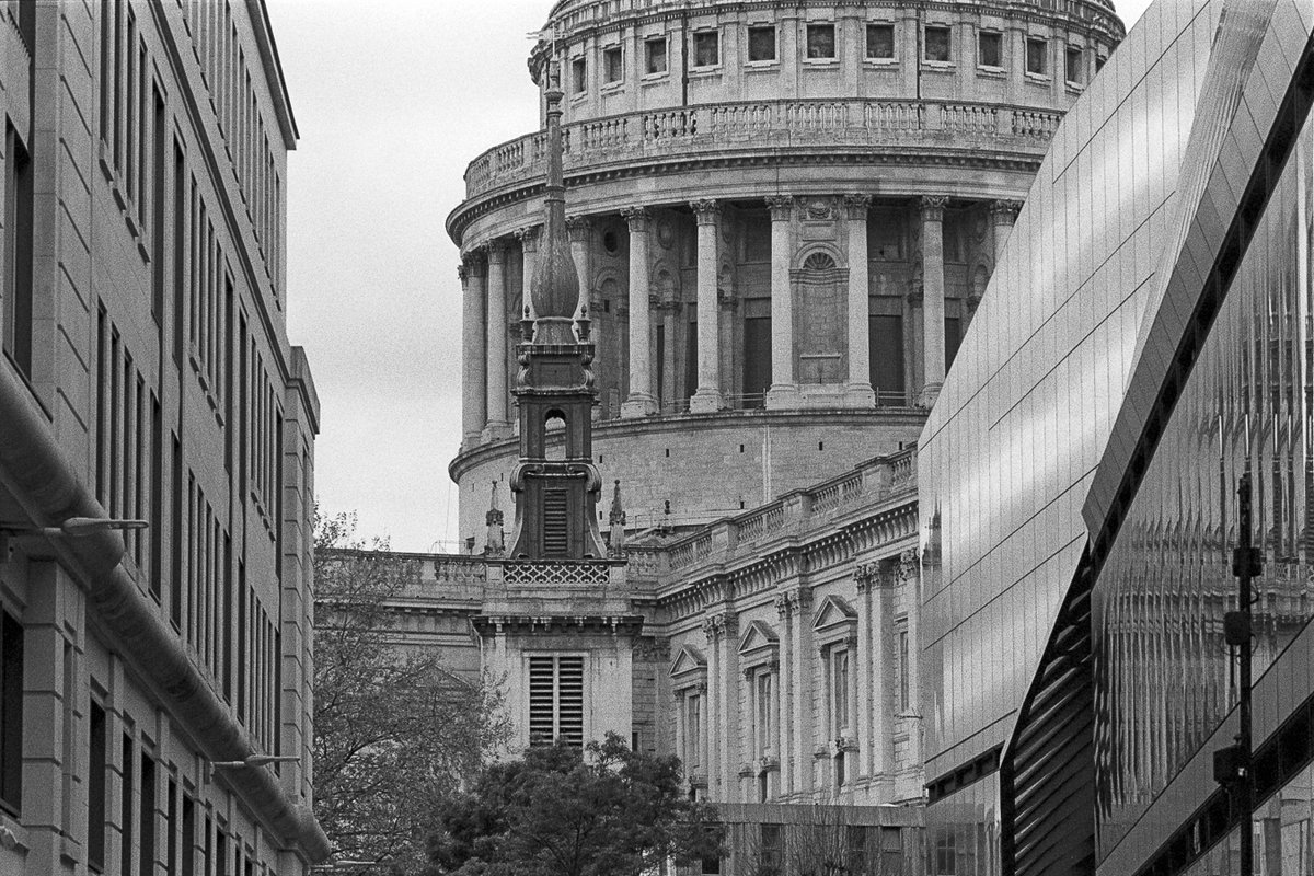 Paula Smith tweet media