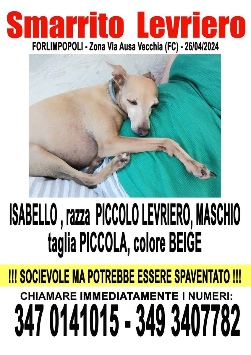 Sveva Maria xx (@sveva1605) on Twitter photo 