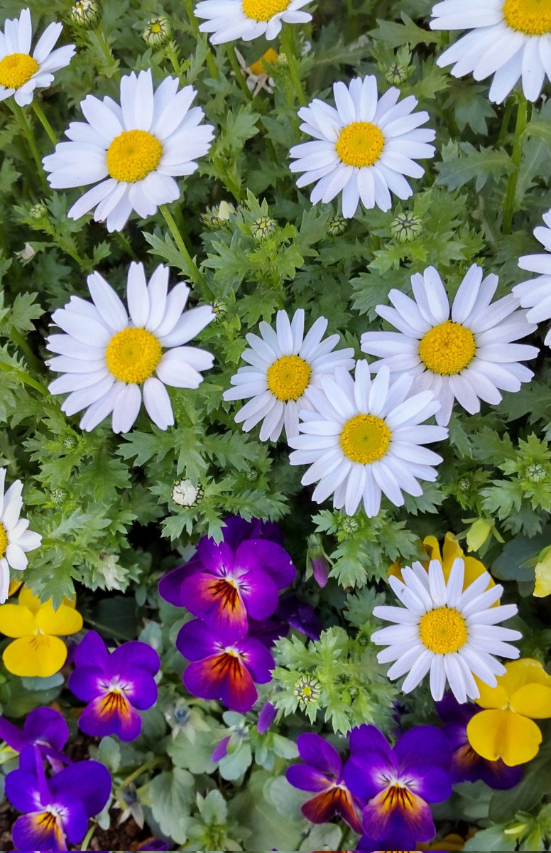 おはようございます☺️💐
                          4月30日🌼火
今日もよろしくお願いいたします🙇
お仕事の方 気を付けてお出掛けください✨
月末なので😚ちょっと忙しく動きます🏃メモ✍️してあるから大丈夫👍
笑顔の一日に😌🙏

強く美しい日本を取り戻す🌸🇯🇵
#がんばろう北陸
#がんばろう台湾