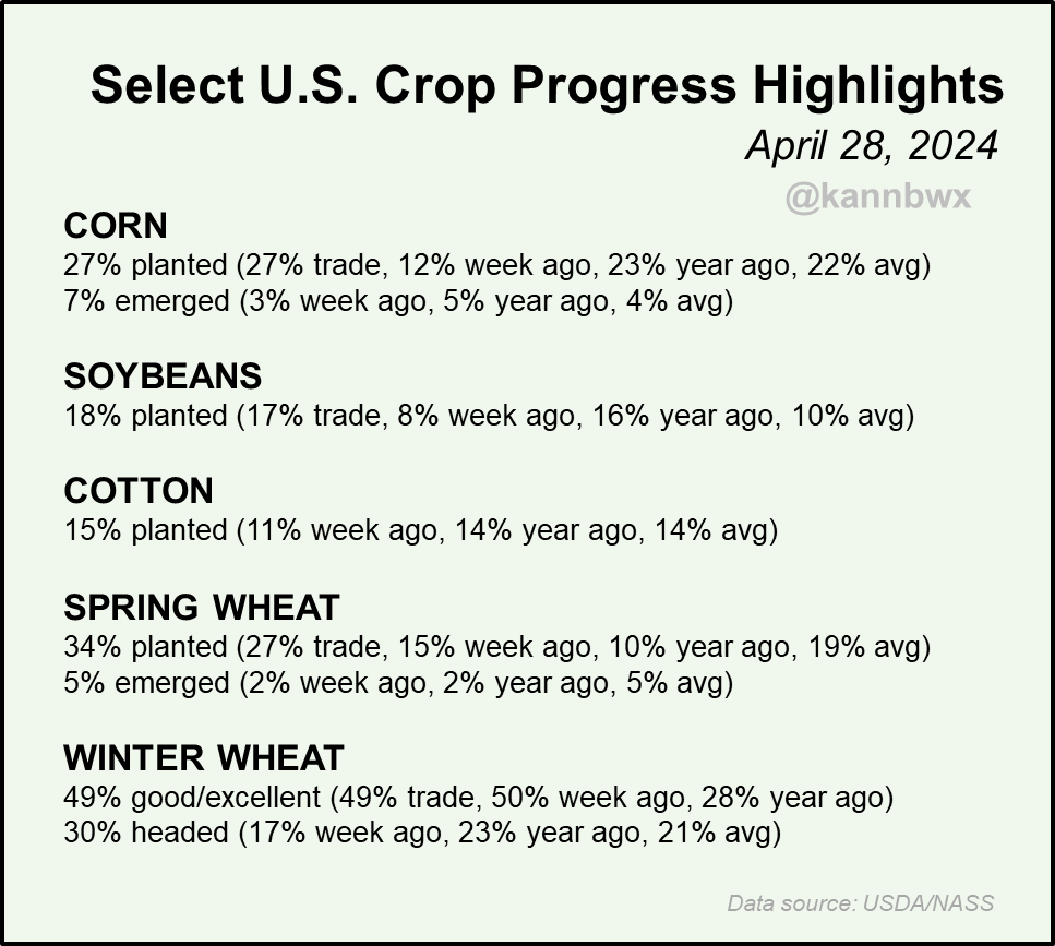 Karen Braun tweet media