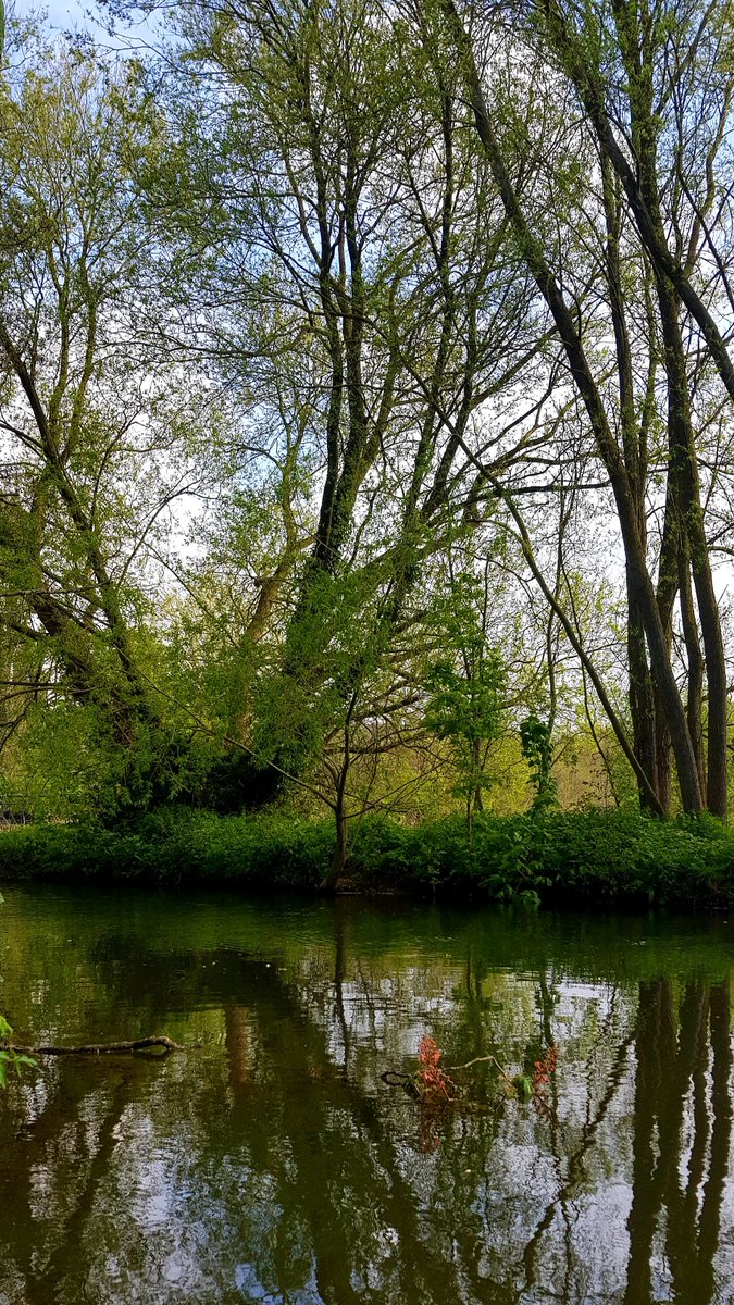 The clouds parted for a short while, and the sunlight sparkled on the water as we swam 

#outdoorswimming #riverswim #swimmingwithfriends #coldwaterswimming