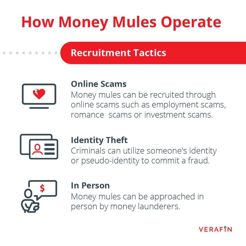 Money mules fuel global fraud by depositing and moving illicit proceeds around the world, potentially funding human trafficking and terrorist financing. See our infographic to learn more. bit.ly/45QgdOz