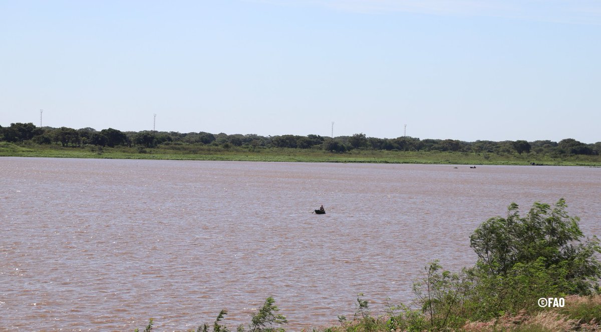 📌Fortalecimiento de los #SistemasAgroalimentarios mediante la #ProtecciónSocial en torno a la iniciativa #Corredordel Río en #Paraguay, que cuenta con el acompañamiento técnico y estratégico de la @FAO.

👉fao.org/paraguay/notic…