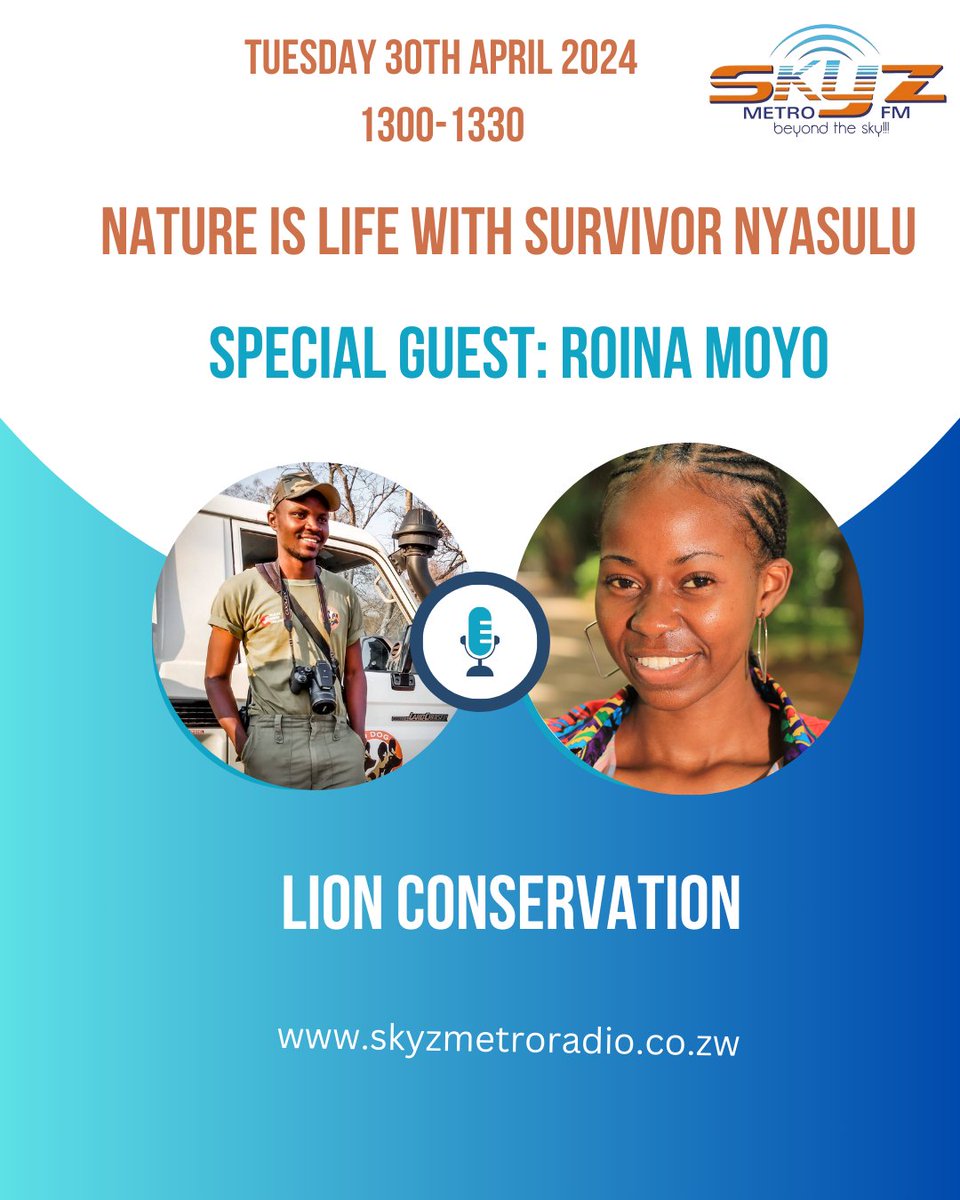 Join us tomorrow @SkyzMetroFM as we delve deep into the world of lion Conservation!. @METROFMSA @ifawglobal @wildnetorg @WildEarth @Singita_ @WildAid @Zimparks #LION #nature #wildlife #WildlifeConservation #extinction #advocacy #Zimbabwe #media