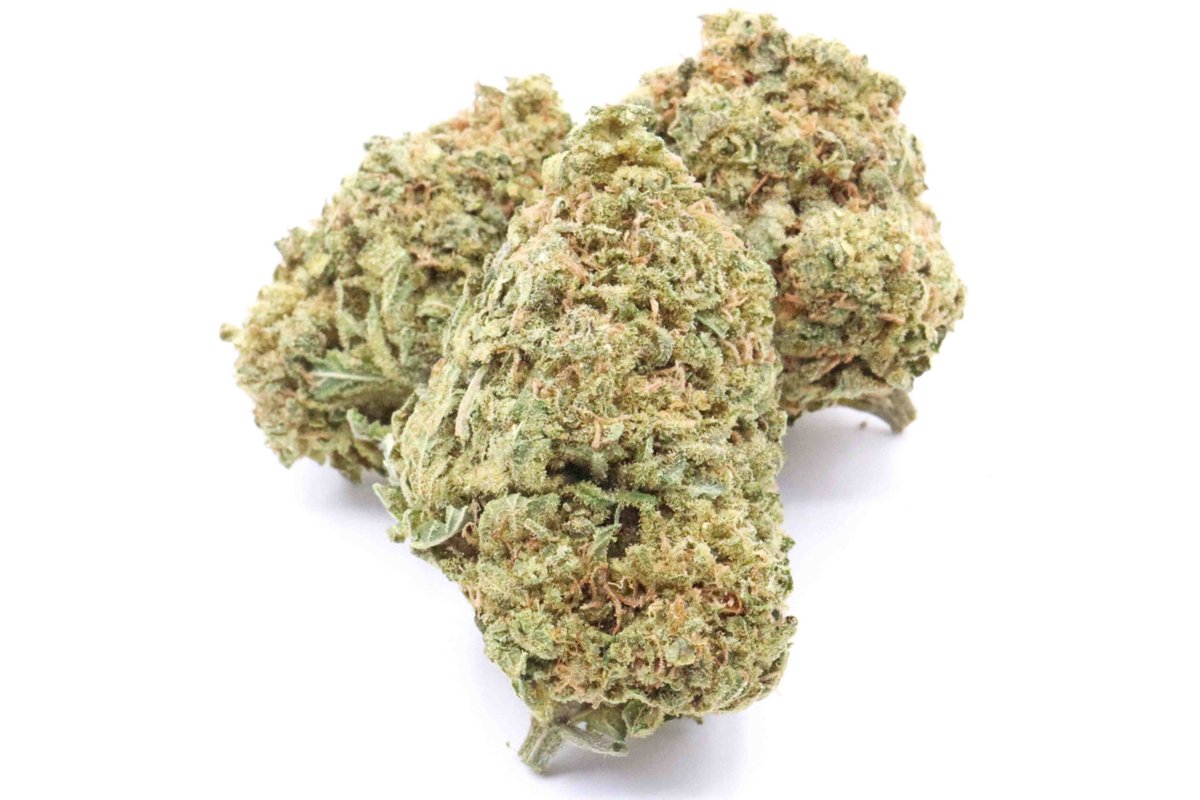 G13 Strain – Indica Dominant Hybrid Flower #cannabiscanada buff.ly/3vJyTSZ