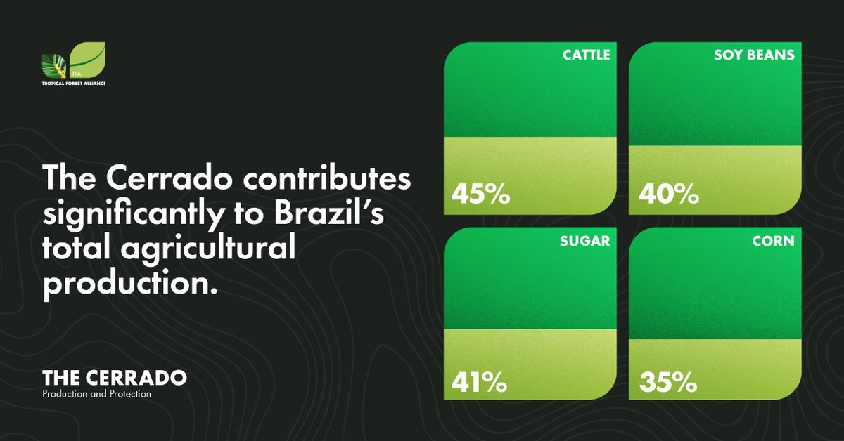 The #Cerrado is the lifeblood of Brazil’s 🇧🇷 agricultural sector. And Brazil is a key trading partner for the biggest global markets (🇺🇸🇪🇺🇨🇳), so we need public & private sectors to take concrete action to protect this critical biome. Find out more: weforum.org/publications/t…