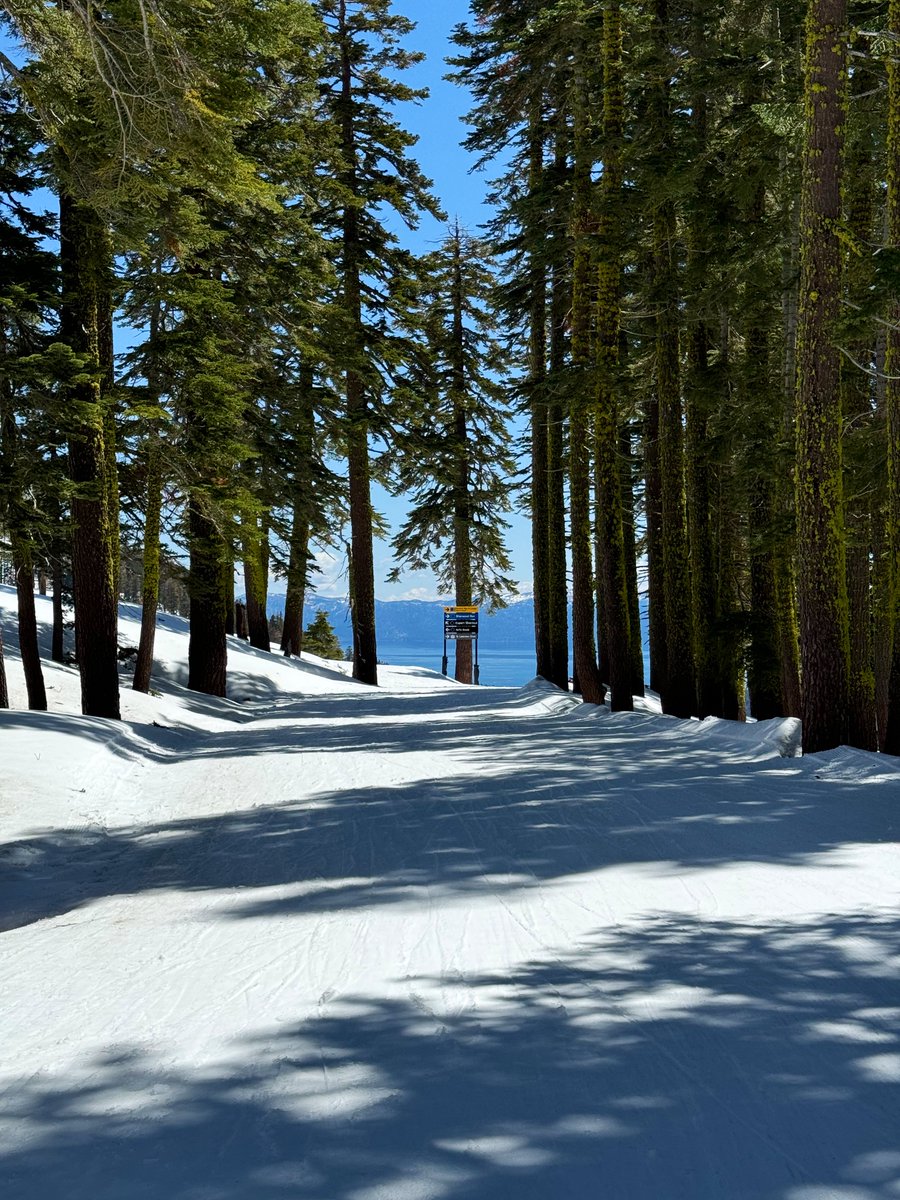 Lake Tahoe 🏔️