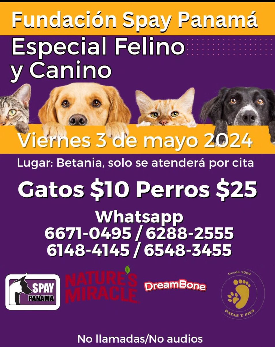 Una nueva oportunidad para esterilizar a bajo costo en este especial @spaypanama @naturesmiracle.latam @dreambone.latam @patasypiespanama . Sólo se atenderá por cita. Abrazo animalero!