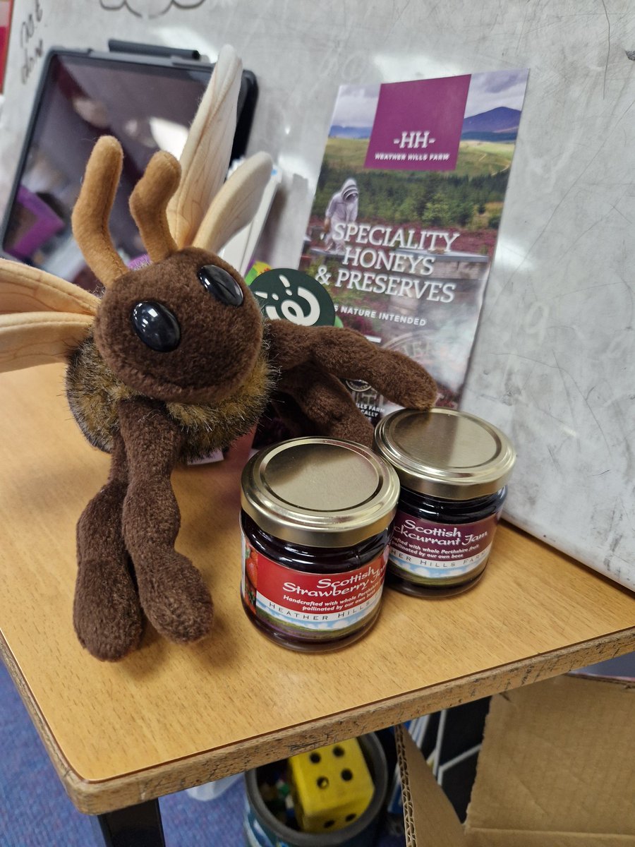 P3K were delighted to find a parcel in their classroom. They adopted a bee from Heather Hills Farm in Blairgowrie and received their adoption certificate, photos,wildflower seeds and some delicious jam which was pollinated by their 🐝.Thanks so much @heatherhillsuk  #saveourbees