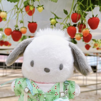 もりこ (@pochamoko) / X