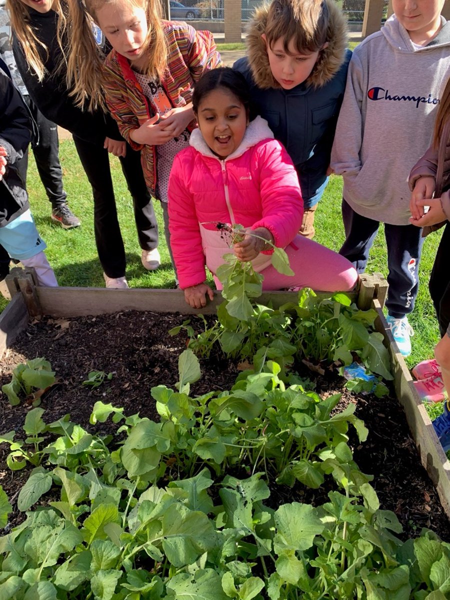 The U.S. Department of Education recently announced the 2024 U.S. Department of Education Green Ribbon Schools, which includes Rowan Elementary School of the Seneca Valley School District. Rowan is one of only three schools on the list from Pennsylvania, in addition to also being