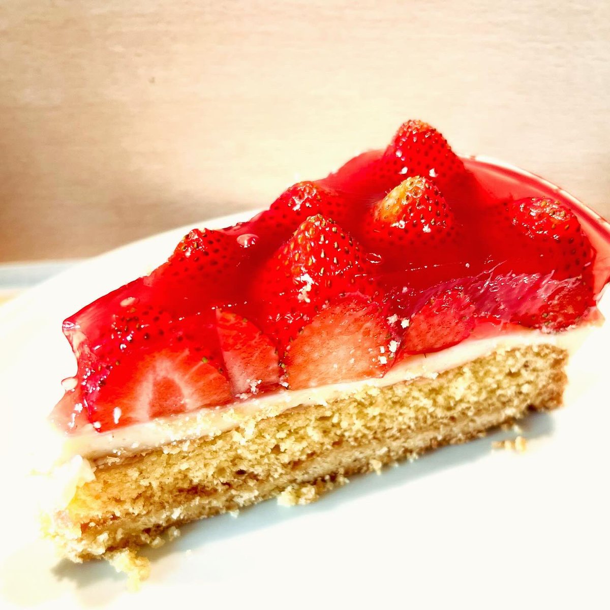 tigermaus8 tweet media