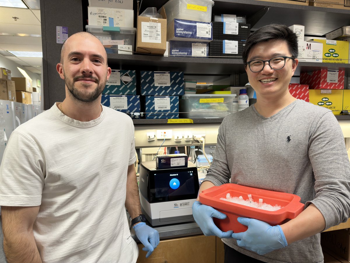 Long-time users from the Quertermous lab at Stanford University recently started a project using our new GEM-X-powered #scRNA-seq assay. They can’t wait to see how the increased sensitivity amplifies their discovery power—and neither can we. #GenerationGEMX