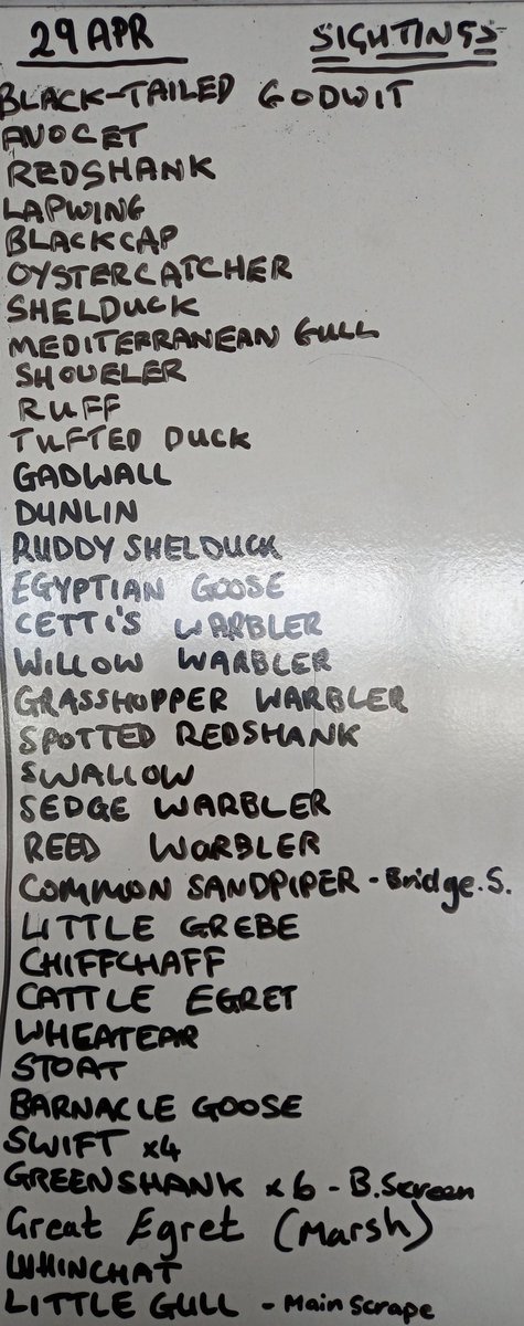 The main #sightings for today have been: Whinchat, Wheatear, Spotted Redshank, Ruff, Dunlin, Cattle Egret, Swift & Little Gull. #MondayMotivation