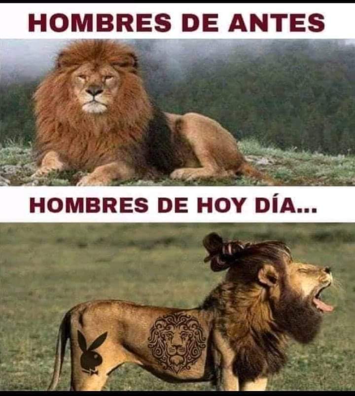 Así las casas 🤷‍♂️🤦‍♂️