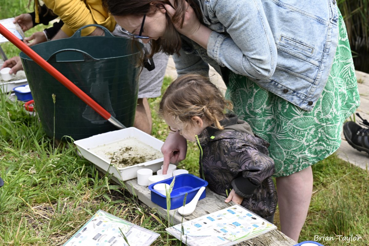 Exciting news- we’re launching a new group for families! Every month starting from 19th May, we'll be running nature-based activities for children at #LowerSmiteFarm 🎨🐝
Find out more 👇 
worcswildlifetrust.co.uk/events?type=19…