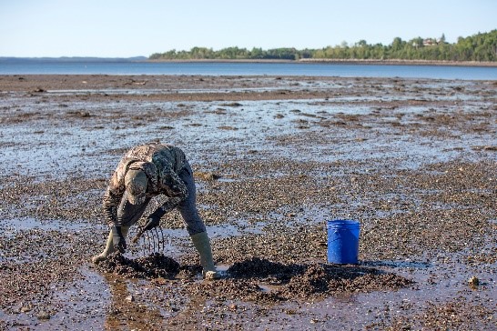 ⚠️ Check before you harvest! Shellfish harvest areas may be closed or prohibited at any time due to dangerous bacterial and biotoxin levels. For more information, visit: ow.ly/J7vG50RqZK4