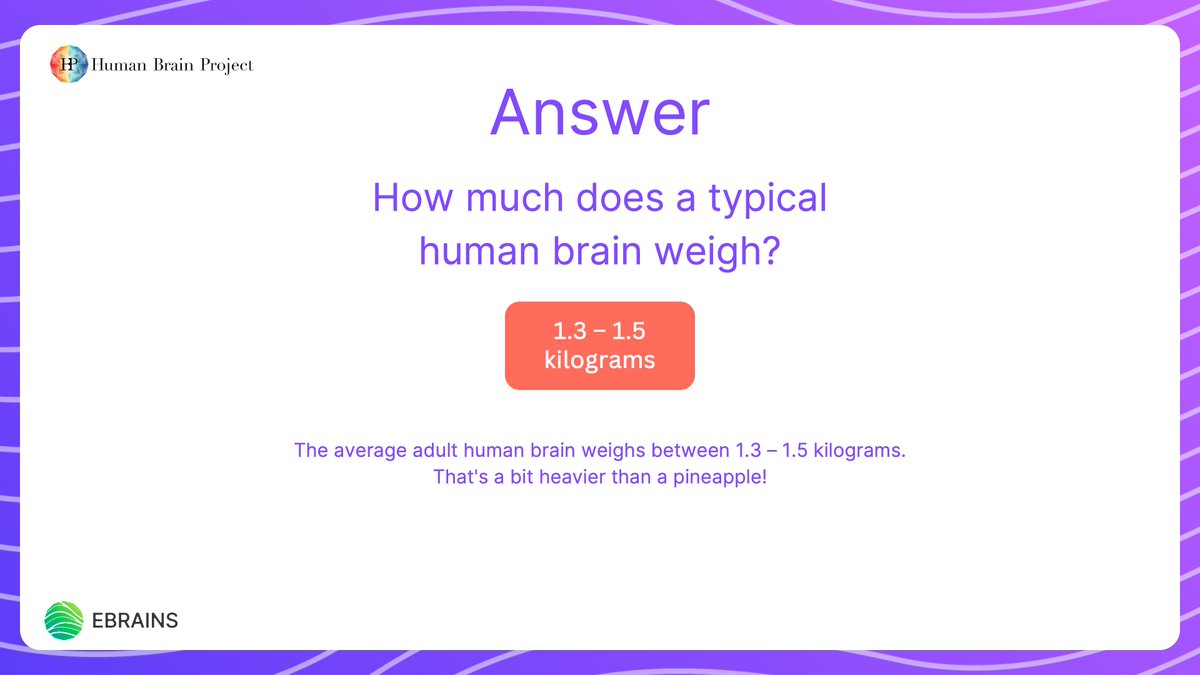 Did you take part in our #BrainQuiz last week? We're happy to share that the answer to 'How much does a typical human brain weigh?' is 1.3 – 1.5 kilograms! We'll post another #BrainQuiz question next week!