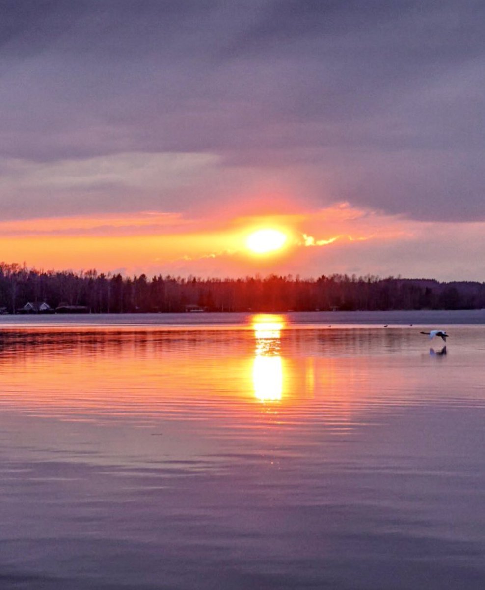 "La vida es más hermosa cuando despertamos con un corazón agradecido por latir, por despertar, por sonreír, por poder respirar y caminar hacia donde queramos ser felices. Que hoy la vida te sonría mucho y te regale motivos para bien vivir".ca💜

Buenos días!!!
