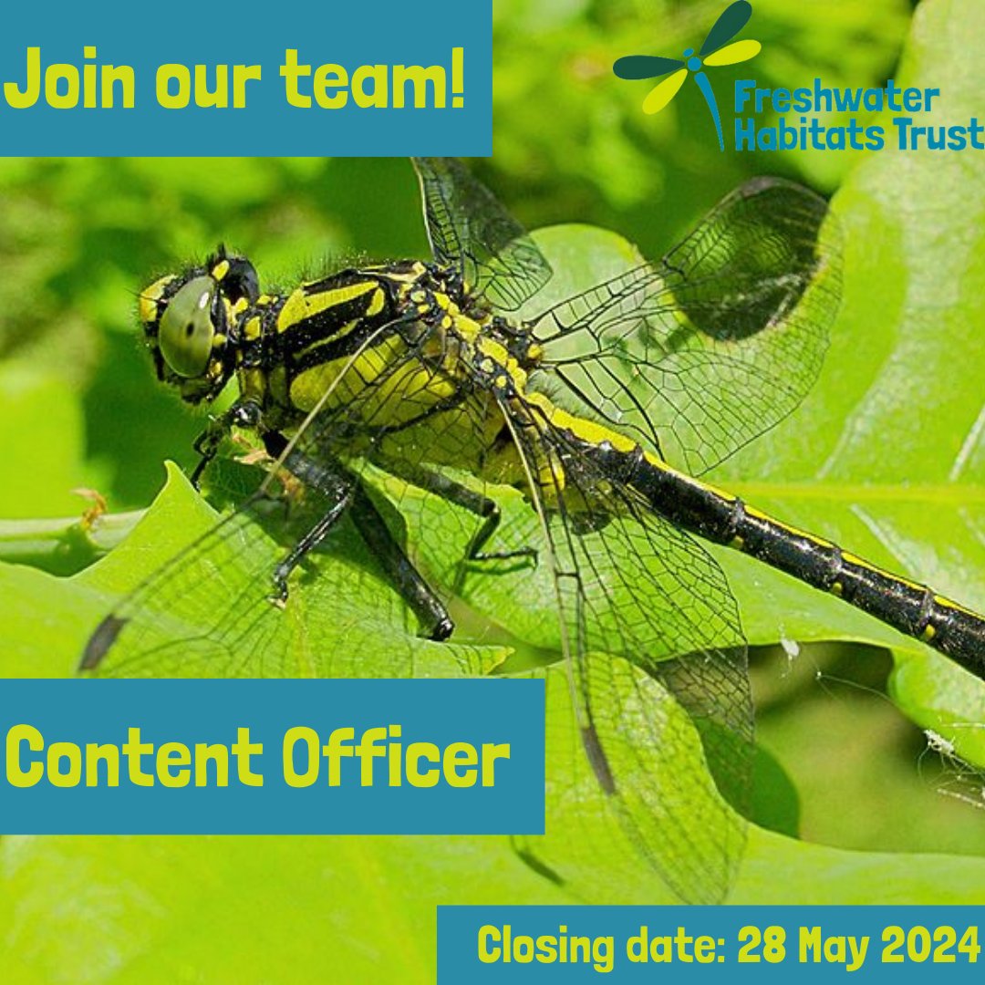Can you tell our story? We’re looking for a talented and experienced writer and content creator to share our passion for freshwater. Full time (80% considered for the right candidate) • Permanent • flexible location • £28,000-£32,000. Apply: bit.ly/FHTjobs