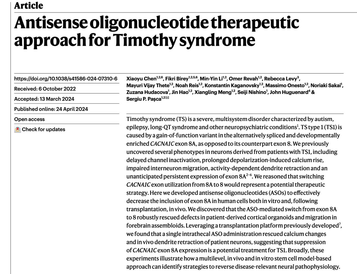 In our @Nature paper published last week, we identified a potential therapeutic for Timothy Syndrome (TS) using human neural #organoids, #assembloids and neurons from TS patients transplanted into rats. Here’s a more detailed description of what we found 👇
