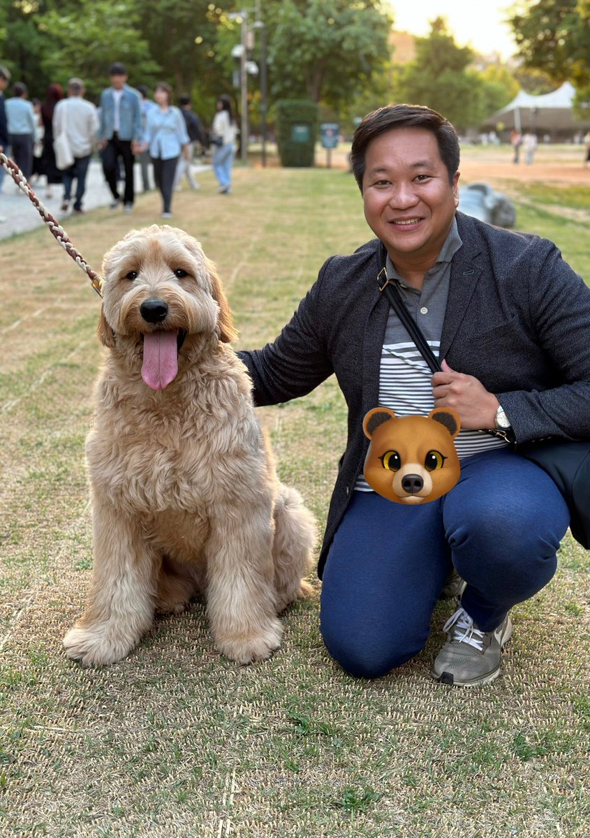 Met A cutie in Seoul, Doodie the Goldendoodle 🫰