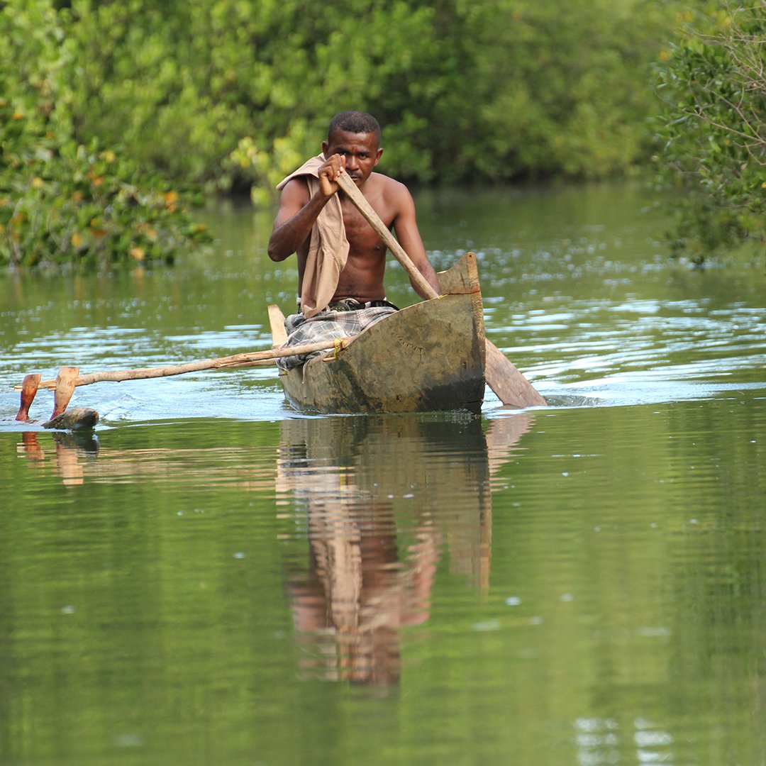 Operation Wallacea (@opwall) on Twitter photo Quinn Park et al. examined the long-term governance impacts on crab fisheries in the Ankobohobo wetlands in Madagascar. Their paper, published in Marine Policy, marks the 659th paper that Operation Wallacea has been involved in!
ow.ly/69Ml50RqBc4
📸 Roger Poland Quinn Park et al. examined the long-term governance impacts on crab fisheries in the Ankobohobo wetlands in Madagascar. Their paper, published in Marine Policy, marks the 659th paper that Operation Wallacea has been involved in!
ow.ly/69Ml50RqBc4
📸 Roger Poland