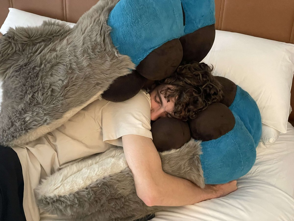 I’ll let you snuggle the paws

This could be you