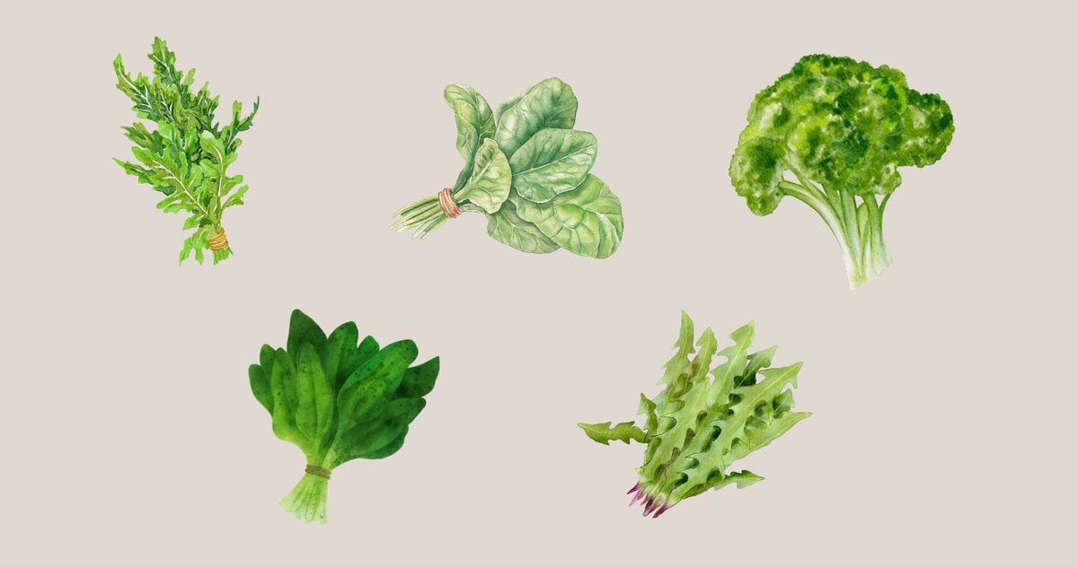 🌱 Explore the fresh and flavorful world of spring greens! From dandelion greens to ramps, arugula, spinach, and broccoli, these low-calorie powerhouses are bursting with nutrients. buff.ly/3BjjhEE  #SpringGreens #FreshFlavors #HealthyEating
