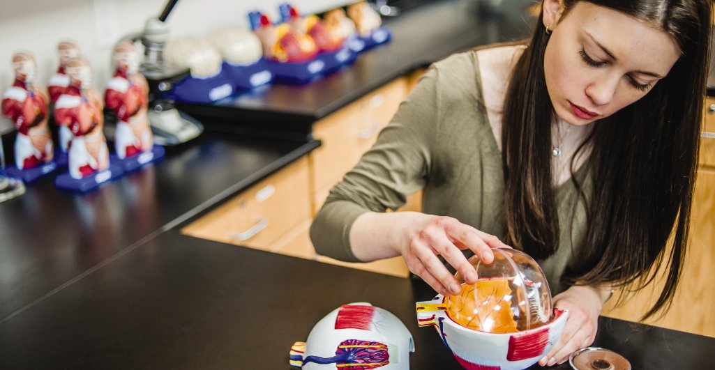 CarolinaBio's tweet image. 🔍Looking for ways to engage students while teaching human body systems? 
We&apos;ve curated a list of our top-selling anatomical body systems models to help you teach A&amp;amp;P. 🧠🔬#CarolinaScience #CarolinaBio #AnatomicalModels #HumanBodySystems 
hubs.li/Q02vm-wW0