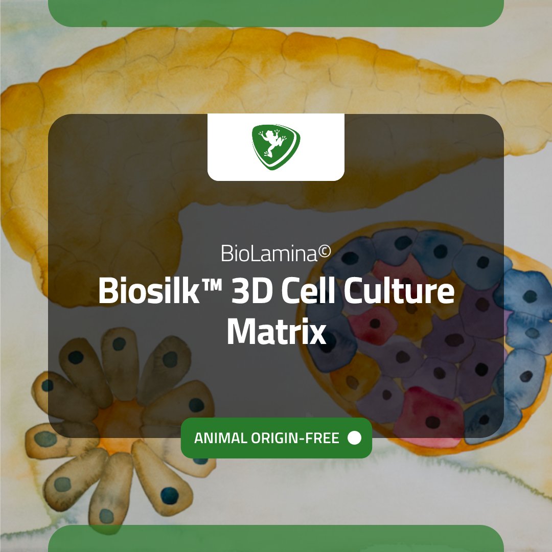 Checkout the Biosilk™ 3D Cell Culture Matrix by @biolamina — available now at FroggaBio! Efficiently support cell integration and growth with this biocompatible, non-immunogenic matrix. 🧬🔬🌱

LEARN MORE: hubs.li/Q02vkV8n0

#CellCulture #Biotechnology #Biosilk #FroggaBio