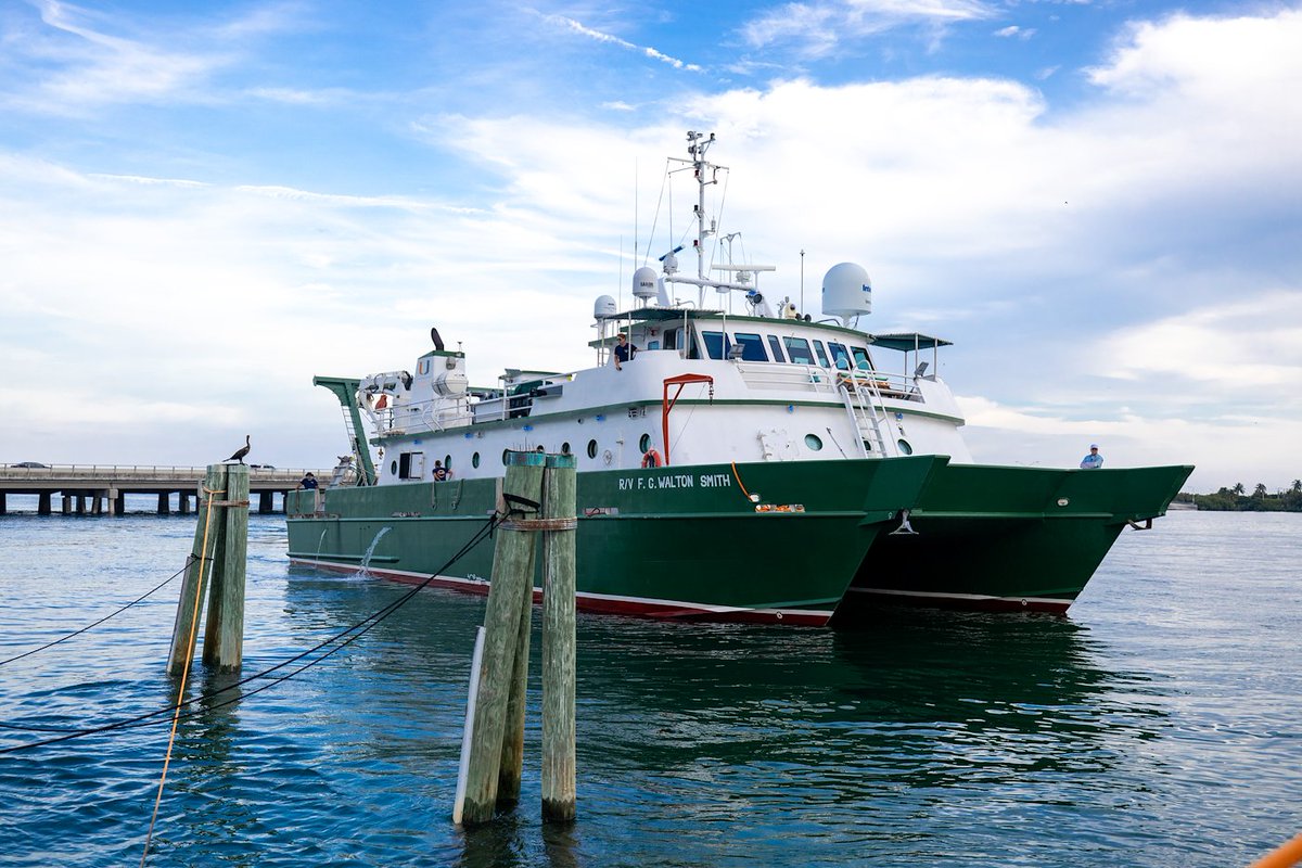 Discover @univmiami’s Marine Research Vessel, FG Walton Smith. The 96-foot-long, 40-foot-wide watercraft has conducted more than 300 #oceanographic research expeditions in its 23 years of service. Here’s to many more expeditions exploring our great oceans! youtu.be/uaNx18zSFA4?fe…