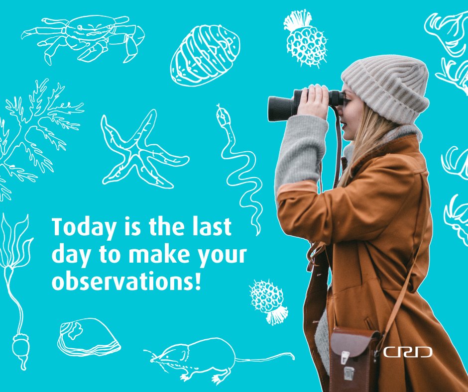 Today is the last day! 📸 Don't miss out on the chance to showcase the incredible biodiversity in our region. Grab your smartphone, head outside, and capture the wonders of nature around you. Let's make this last day count! For more info, visit crd.bc.ca/biodiversity
