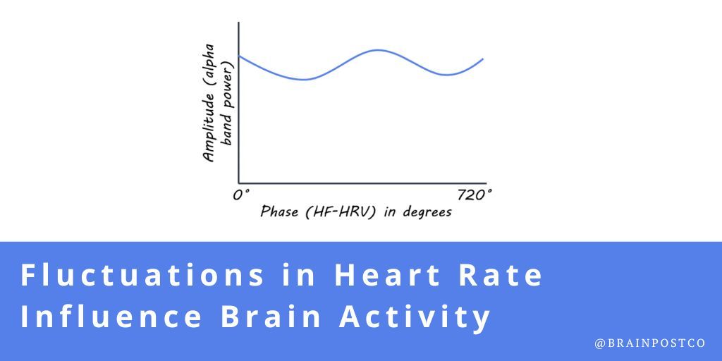 Fluctuations in Heart Rate Influence Brain Activity New this week in @PsychScience @brainpostco's scientific summary by @megan_mcc0 buff.ly/4b0pi9c