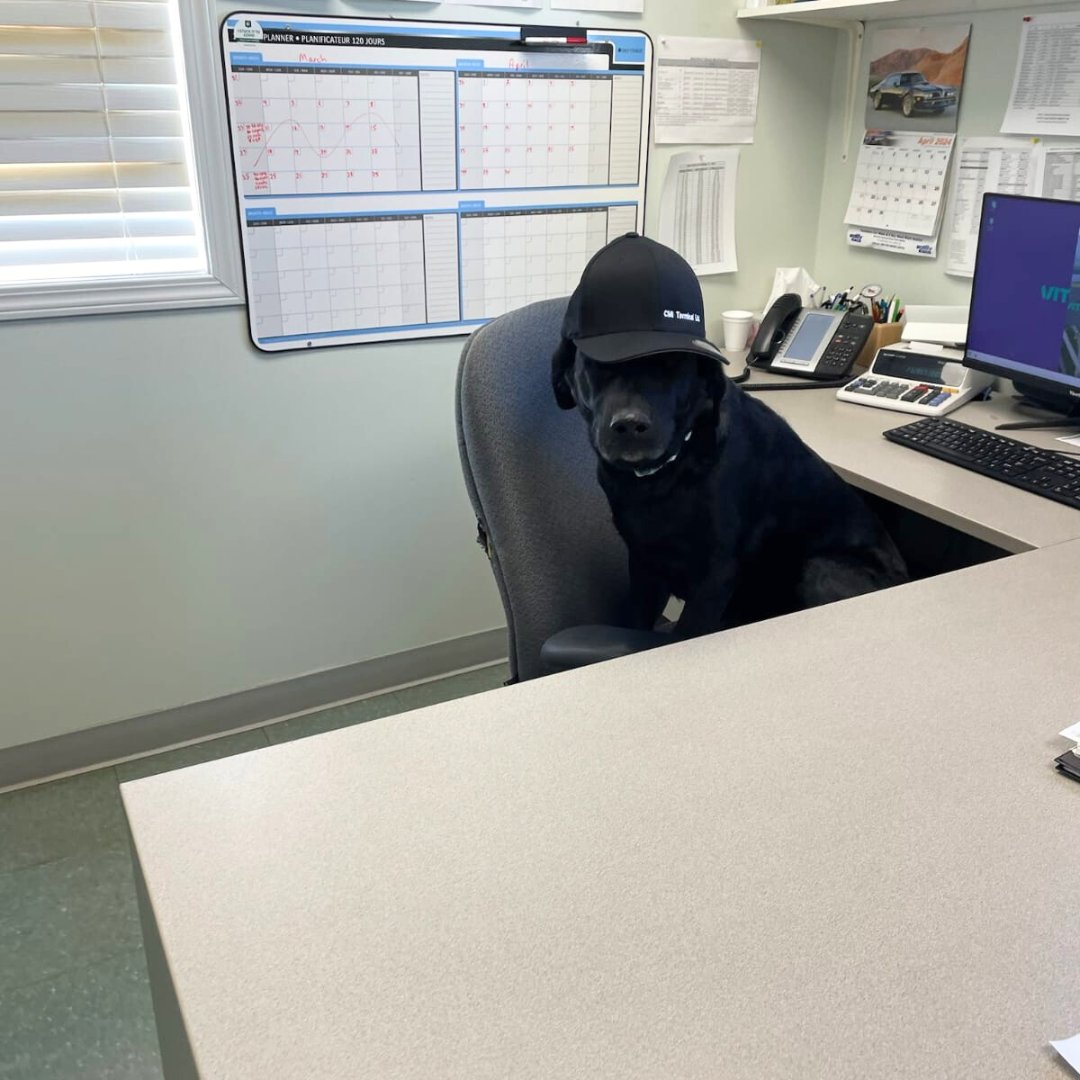 We brought in a new hire to help us out during the busy growing season, here at CMI. He doesn’t say much, but one thing is for sure, he likes it here! 🐶🌾

#westcdnag #canadianfarmers #saskag #saskfarmers #ag #agriculture #plant24