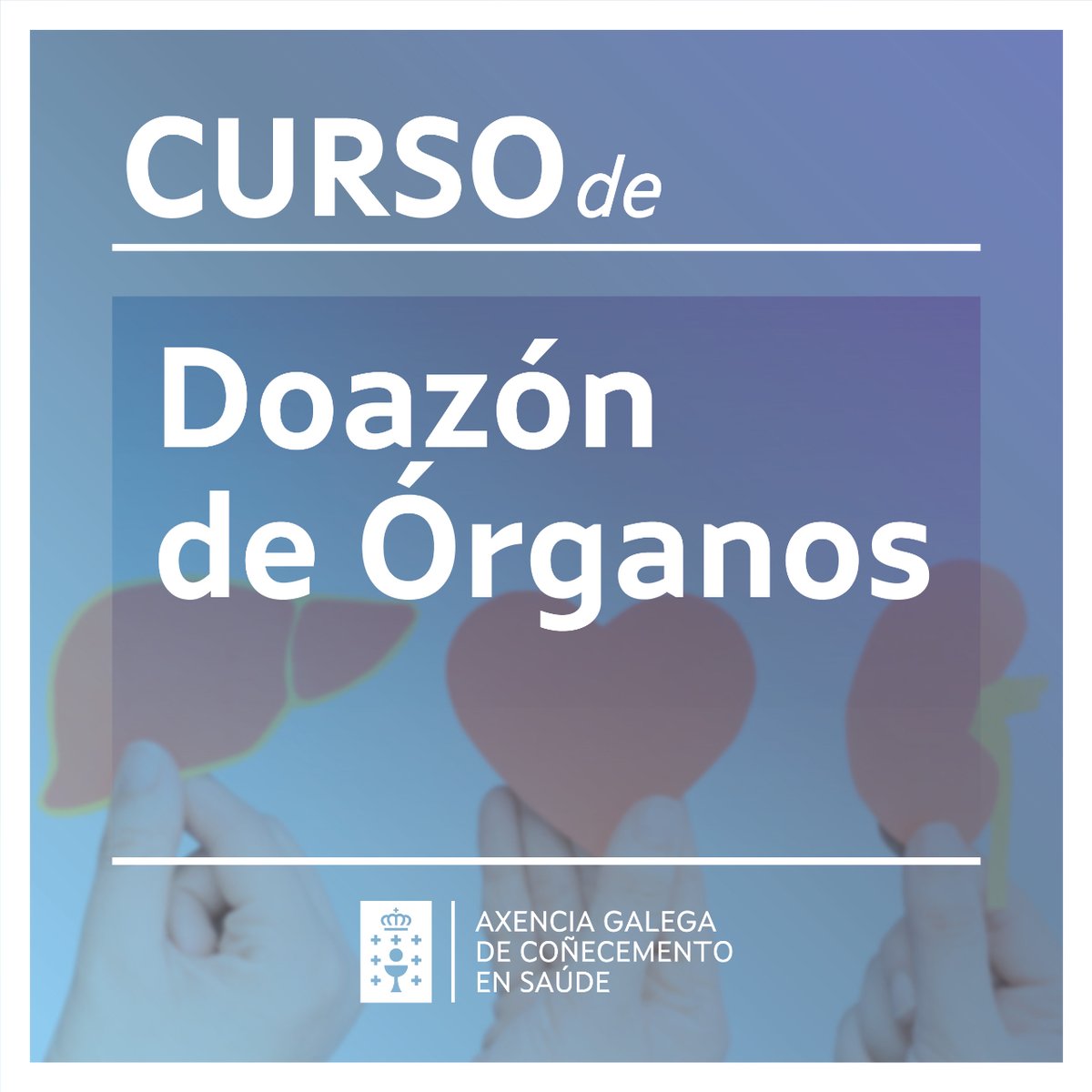 ❗Novo curso de autoformación “Doazón de Órganos”. 👨‍⚕️ Dirixido a profesionais do Servizo Galego de Saúde. 👉🏼 Sen límite de prazas 👉🏼 Ata o 31/12 📋 Inscrición: extranet.sergas.es/feweb/FEWEB/De…