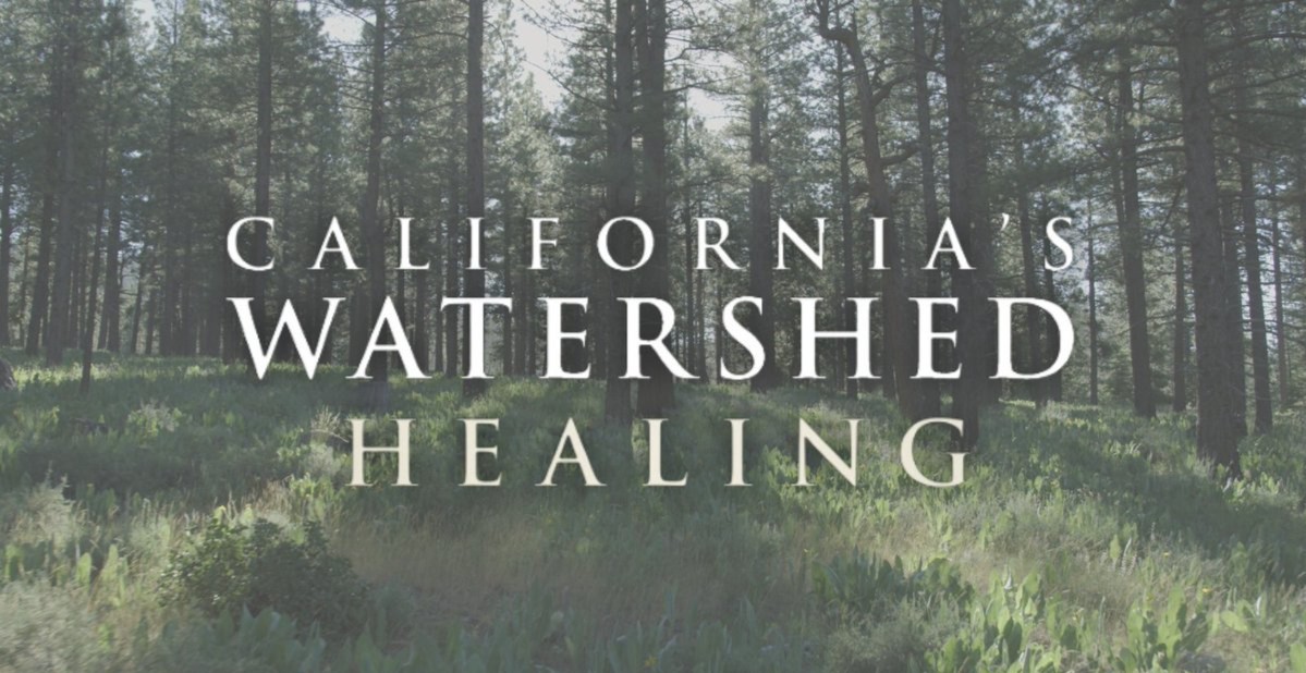 Discover how California's forest management solutions gradually reverse a century of unsustainable use. Don't miss California's Watershed Healing tonight at 10PM.