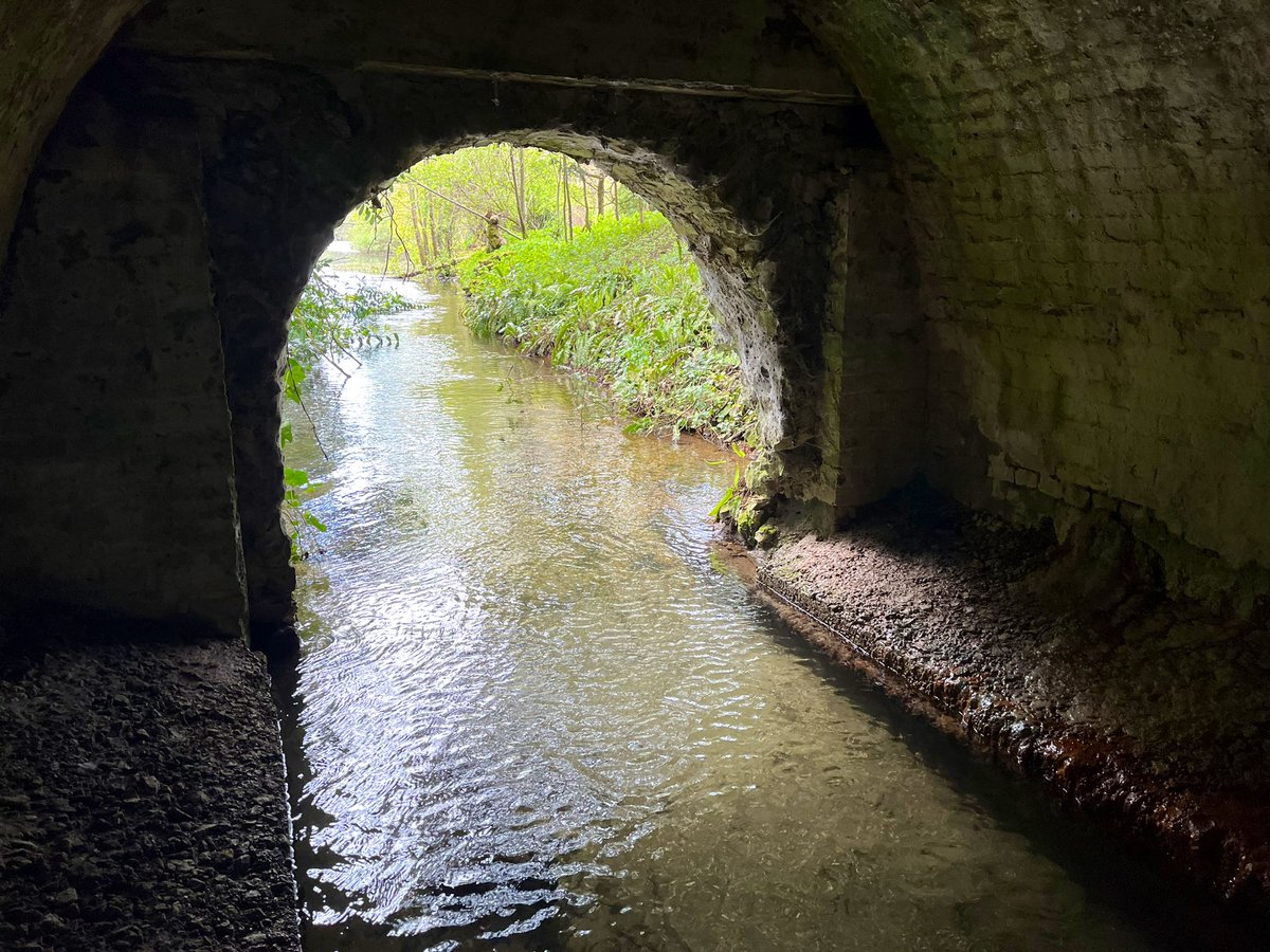 Them Victorians did some mad stuff to our rivers…