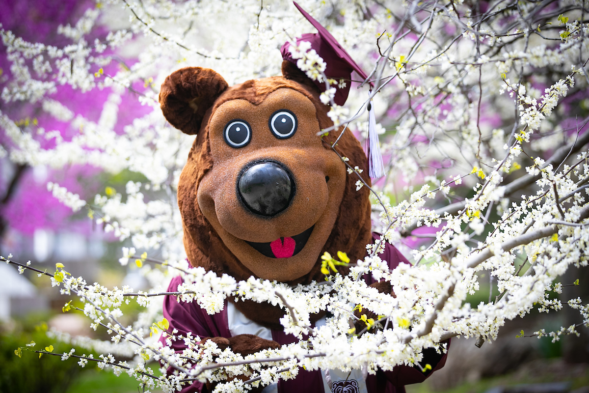 11 days until spring commencement...🎓 #BearGrads