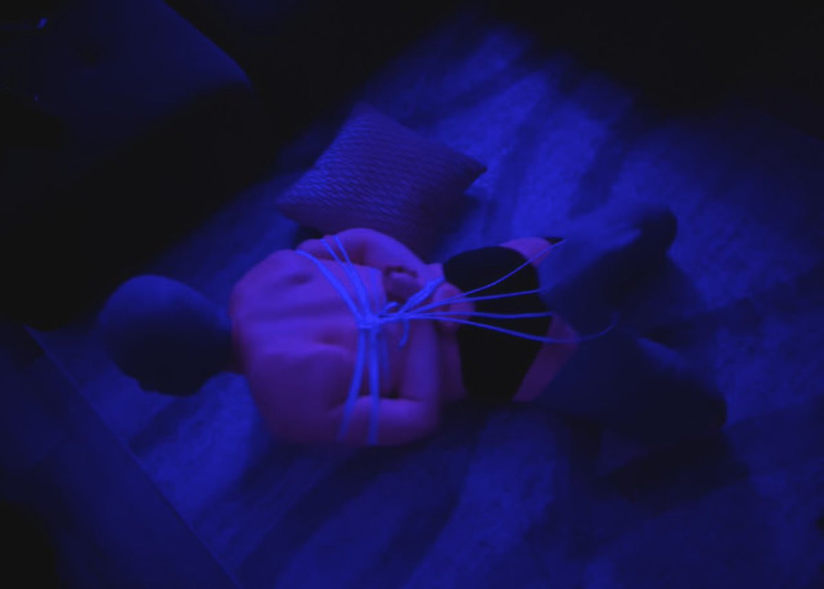 Head and legs securely wrapped up with vet wraps, gagged and hogtied. Left alone on the floor as a foot stool for guests. 

🪢&amp;📷:<a href="/TheMayhem412/">The Mayhem</a>