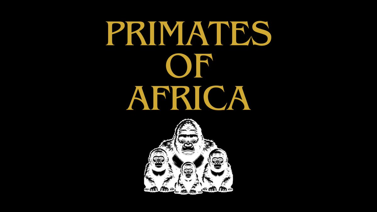 🐵 Welcome to the first installment of our Primates of Africa Series, where we shine a spotlight on the remarkable creatures that call Africa🌍 home. Stay tuned for the first primate!