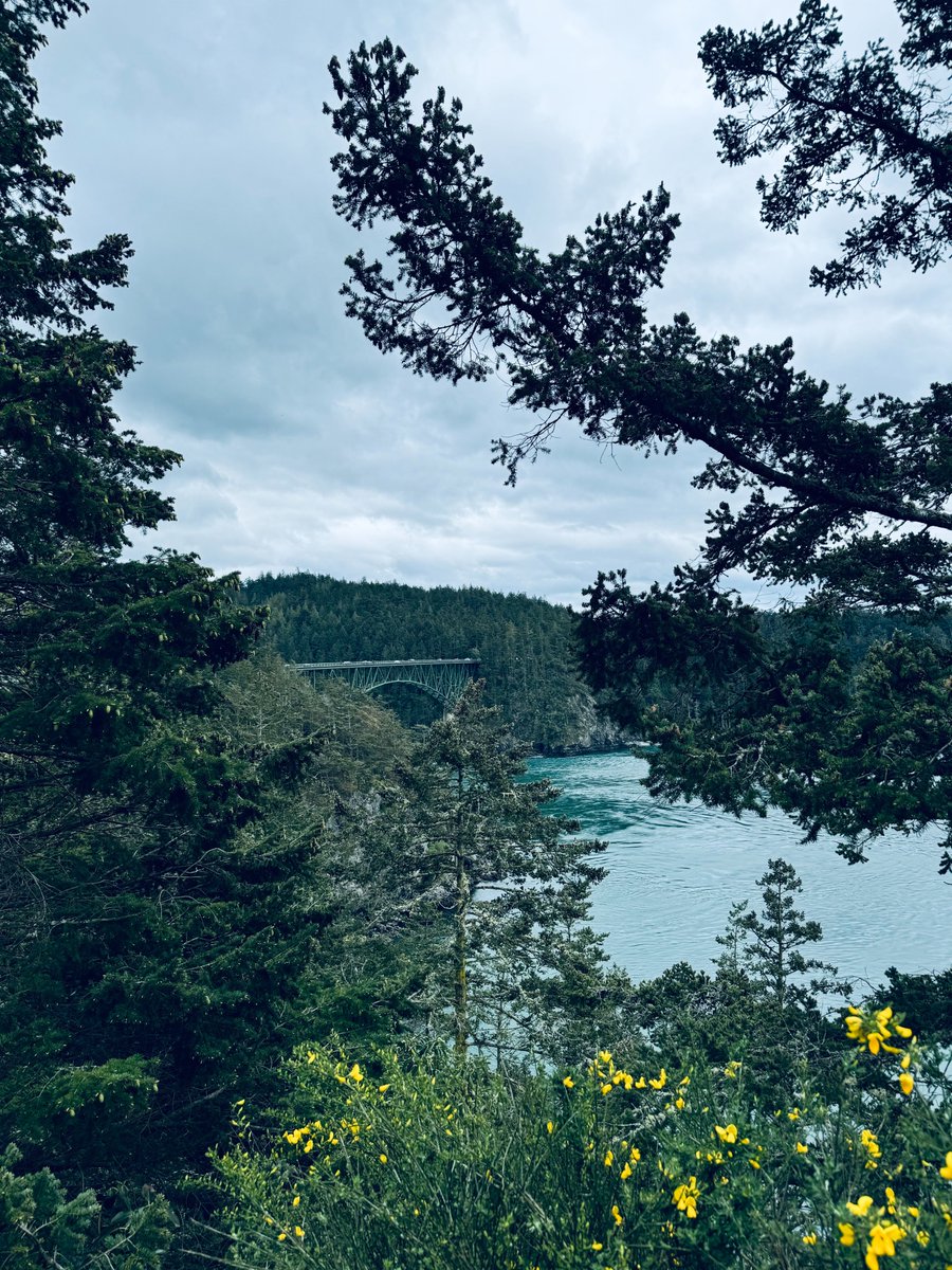 Johnny Winn tweet media