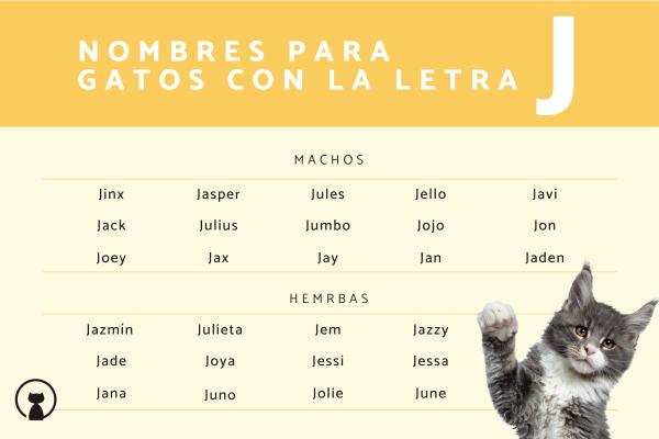 Nombres para gatos con J soyungato.com/nombres-para-g… #razasdegatos