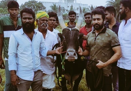 In recent event,
Anchor: There are many rumours going in social media about #VaadiVaasal, when can we expect the updates❓

VetriMaaran: First I will complete Viduthalai Part-2, after that #VaadiVaasal updates will be coming 🤝✅

#Suriya | #VetriMaaran