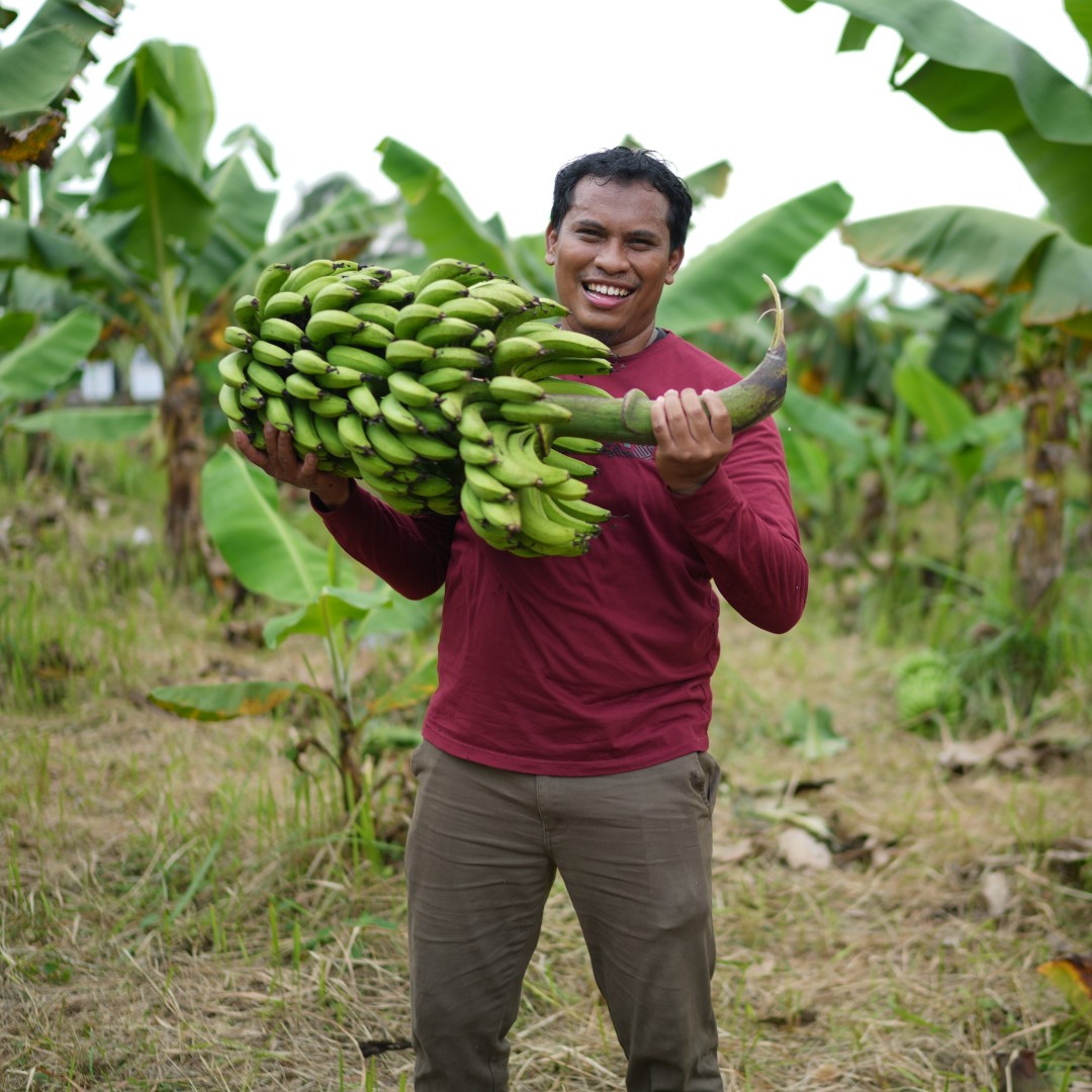 Adimas grows many tasty fruits and vegetables on his farm in #Indonesia 🍌🍈 Through an IFAD grant, he was able to purchase smart farming tools & establish a greenhouse. Now he has even bigger plans: opening an agritourism business where visitors can pick up their produce 🙌🌾