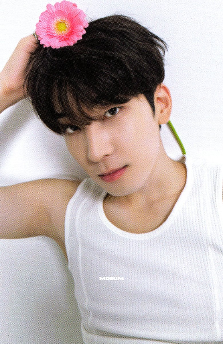 [SCAN] DEAR 버전 포카 #원우 #세븐틴