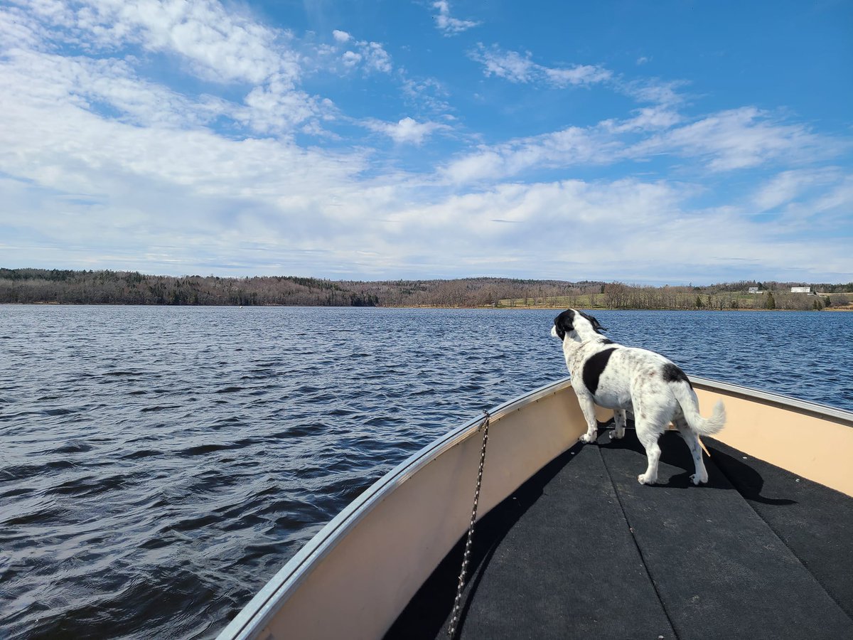 Just in @KingstonLsd we have the beautiful Belleisle Bay, Ridgeback Lodge, La Belle Cabane, The Kingston Farmers Market....I could go on and on. #NBTourismFail