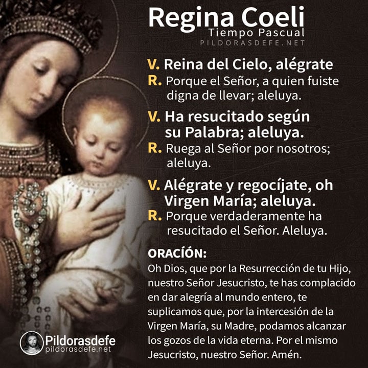 🐟 #ReginaCoeli por: VENEZUELA Y EL MUNDO 🌎 ENTERO./Bendice, alma mía, al Señor. Aleluya (Sal102). #VSemnDePascua #SantaCatalinaDeSiena🪷 #PatronaDeEuropaDra💒 #LunesOrarDescansoEterno 🛐 #DeLasAnimasDelPurgatorio✝️ #hazlaprueba😋 #verásquebueno👌